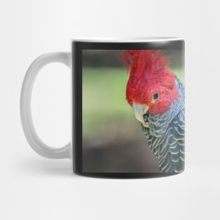 Gang Gang 1 Mug